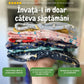 Peste 6000 de copii fericiți folosind chiloțeii de antrenament Kinderspeech, diverse modele colorate și vesele pentru succesul învățării la oliță
